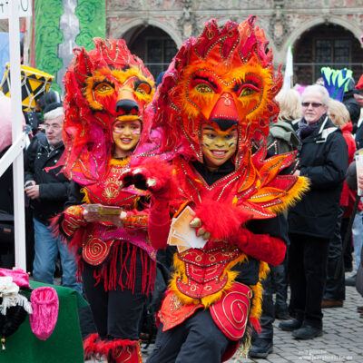 27. Bremer Samba- und Maskenkarneval – Motto: Metamorphose (11.02.2012) – Foto 2