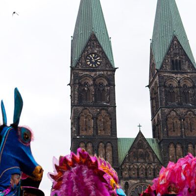27. Bremer Samba- und Maskenkarneval – Motto: Metamorphose (11.02.2012) – Foto 4