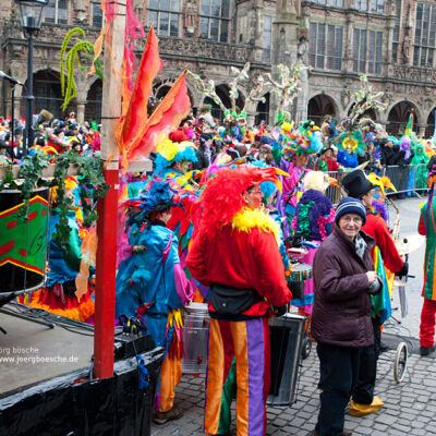27. Bremer Samba- und Maskenkarneval – Motto: Metamorphose (11.02.2012) – Foto 5
