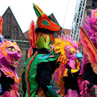 27. Bremer Samba- und Maskenkarneval – Motto: Metamorphose (11.02.2012) – Foto 6