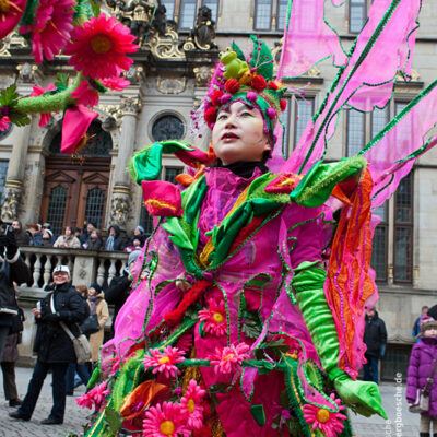 27. Bremer Samba- und Maskenkarneval – Motto: Metamorphose (11.02.2012) – Foto 11