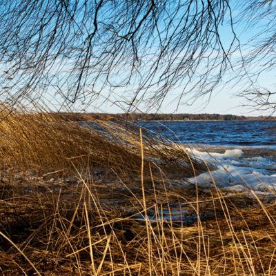 Bad Zwischenahn am Zwischenahner Meer im winterlichen März 2013 – Foto 1