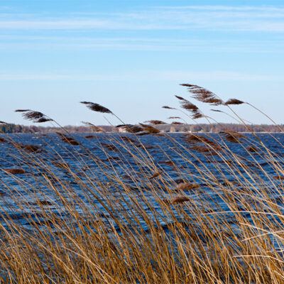 Bad Zwischenahn am Zwischenahner Meer im winterlichen März 2013 – Foto 2