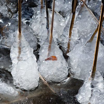 Bad Zwischenahn am Zwischenahner Meer im winterlichen März 2013 – Foto 4