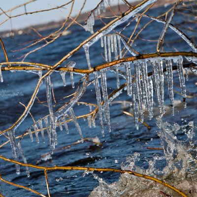 Bad Zwischenahn am Zwischenahner Meer im winterlichen März 2013 – Foto 11