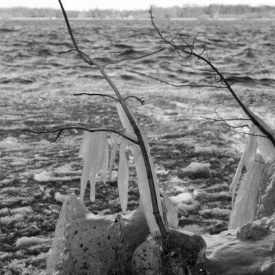Bad Zwischenahn am Zwischenahner Meer im winterlichen März 2013 – Foto 15