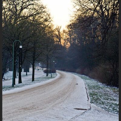 Bürgerpark Bremen im Winter bei Sonnenaufgang – Foto 3