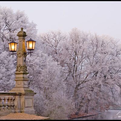 Bürgerpark Bremen und Bremer Schlachte – Foto 5