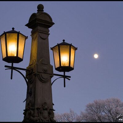 Bürgerpark Bremen und Bremer Schlachte – Foto 6