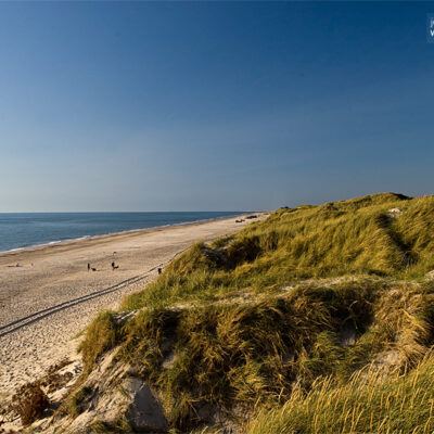 Dänemark – Söndervig an der Nordseeküste – Foto 4