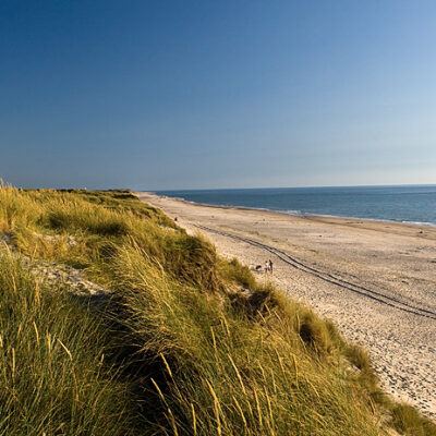 Dänemark – Söndervig an der Nordseeküste – Foto 6