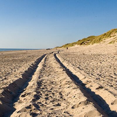 Dänemark – Söndervig an der Nordseeküste – Foto 16