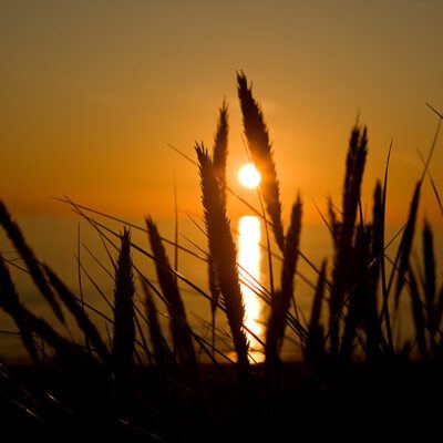 Dänemark – Söndervig an der Nordseeküste – Foto 18