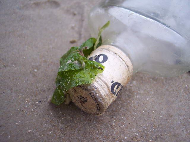 Dänemark 2004 – Slettestrand – Foto 8