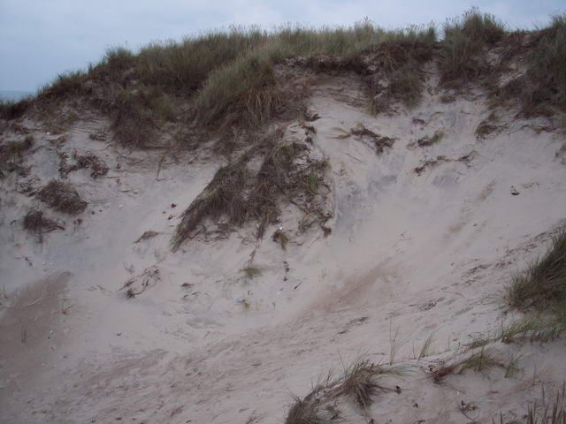 Dänemark 2004 – Slettestrand – Foto 11