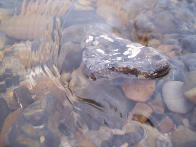 Dänemark 2004 – Slettestrand – Foto 20