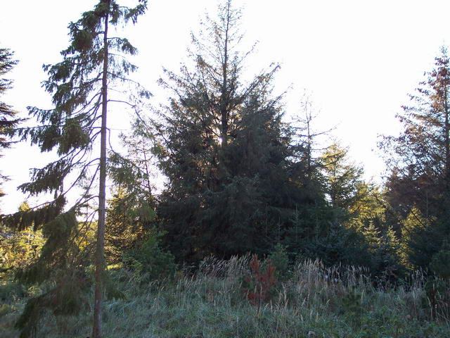 Dänemark 2004 – Slettestrand – Foto 24
