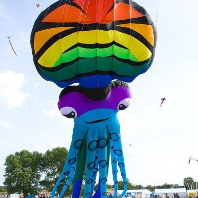 19. Drachenfest – DRACHEN ÜBER LEMWERDER & Feuerwerk – Foto 19