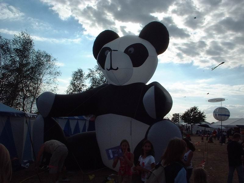 Drachenfest Lemwerder 2003 – Foto 8