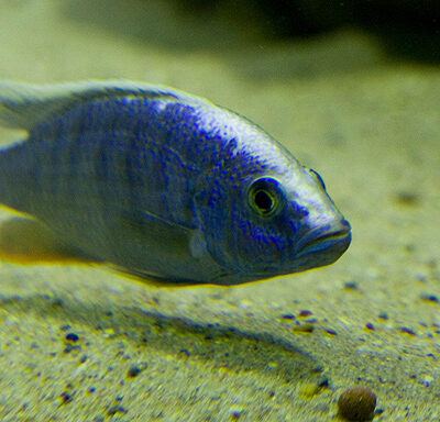 Zoologischer Garten Frankfurt am Main – Foto 16