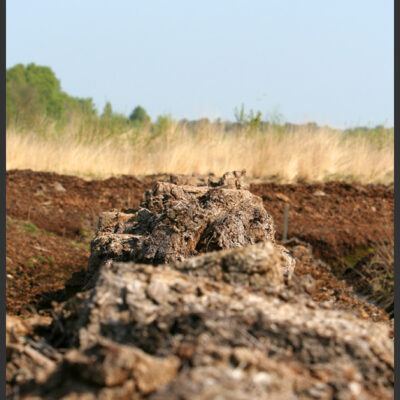 Goldenstedt Moor 03-05-2008 – Foto 5