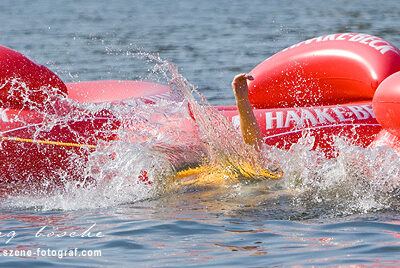 Dokumentation der Haake-Beck BadeinselRegatta 2008 – Foto 10