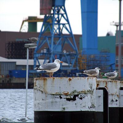 Tour nach Kiel am 30-12-2006 – Foto 2