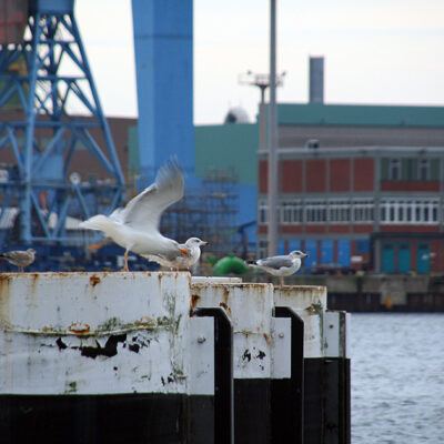 Tour nach Kiel am 30-12-2006 – Foto 3