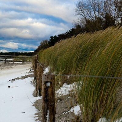 Lubmin – Ostseeküste mit Wind & Schnee – Foto 2