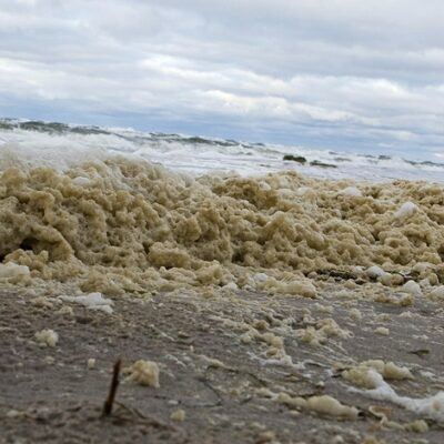 Lubmin – Ostseeküste mit Wind & Schnee – Foto 6