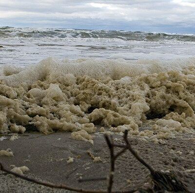 Lubmin – Ostseeküste mit Wind & Schnee – Foto 7