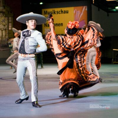 45. Musikschau der Nationen 2009 in Bremen – Foto 22