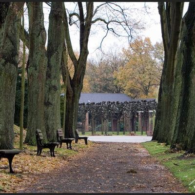 OsterholzerFriedhof & Teerhof Bremen-11-11-2007 – Foto 5