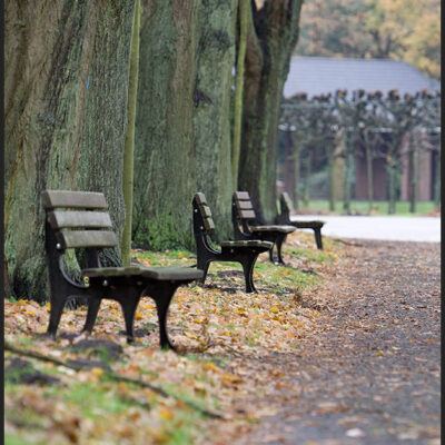 OsterholzerFriedhof & Teerhof Bremen-11-11-2007 – Foto 6