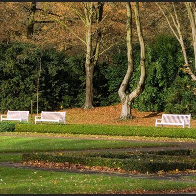 OsterholzerFriedhof & Teerhof Bremen-11-11-2007 – Foto 8