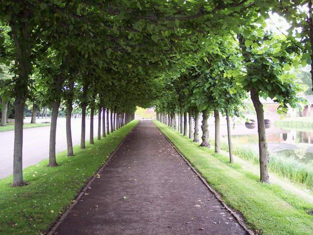 Osterholzer Friedhof  Sommer 2004 – Foto 1