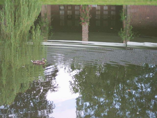 Osterholzer Friedhof  Sommer 2004 – Foto 7