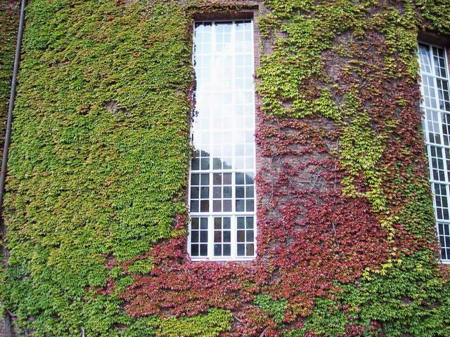 Osterholzer Friedhof  Sommer 2004 – Foto 13