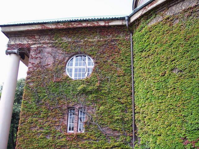 Osterholzer Friedhof  Sommer 2004 – Foto 14