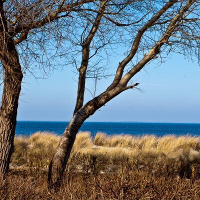 Ostseebad Lubmin, Greifswald – Foto 3