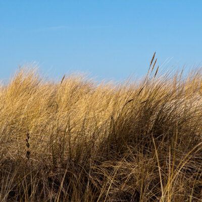 Ostseebad Lubmin, Greifswald – Foto 10