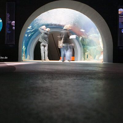 OZEANEUM bei Stralsund 2009-10-22 – Foto 23