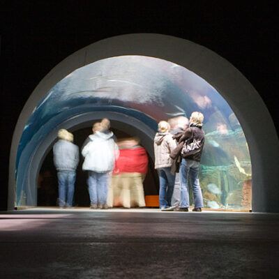 OZEANEUM bei Stralsund 2009-10-22 – Foto 24