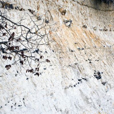 Steilküste von Rügen (20.Oktober 2009) – Foto 2