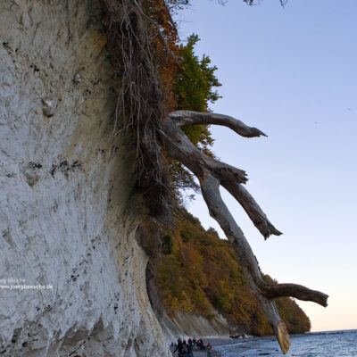 Steilküste von Rügen (20.Oktober 2009) – Foto 4