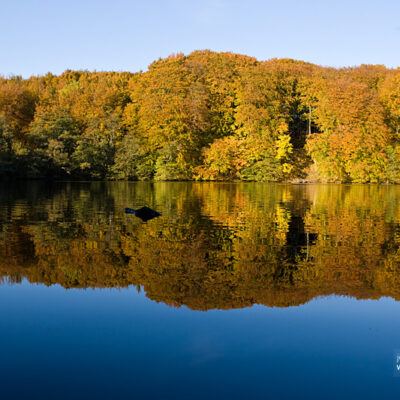 Steilküste von Rügen (20.Oktober 2009) – Foto 13