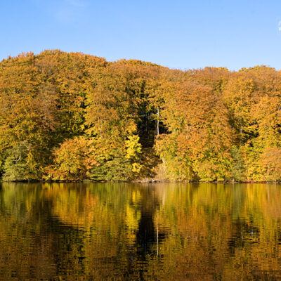 Steilküste von Rügen (20.Oktober 2009) – Foto 14