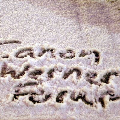(Neu-)Schnee in Bremen 24-01-2007 – Foto 4