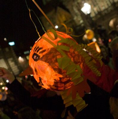 Fotos vom 6. Bremer Lichtermeer 2009 – „Ein Meer aus Licht und Lachen” – Foto 7