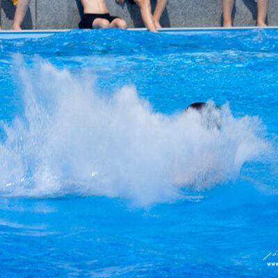 Splashdiving-Bremen-Stadionbad-27-07-2008 – Foto 8